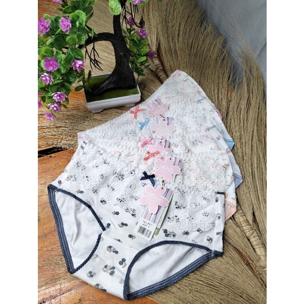 CD ( celana dalam ) wanita motif renda