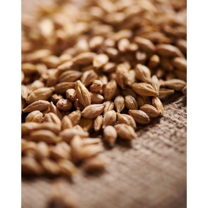 

*****] Weyermann Acidulated Malt EBC: 2.0 5.0 1000gr