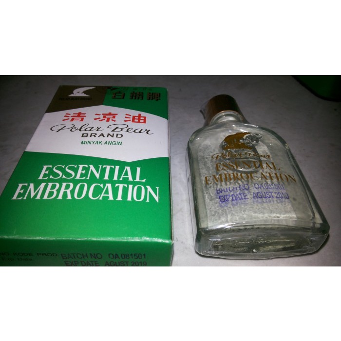 minyak angin polar bear