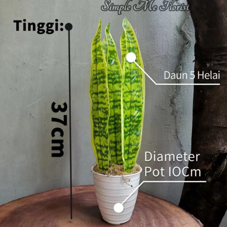 Bisa COD Tanaman Hias Daun Plastik Lidah Mertua Dan Pot Mini Sale