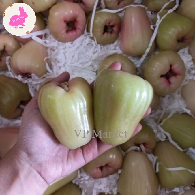 

JAMBU AIR MADU DELI MEDAN 2 KG DONATAMAULI
