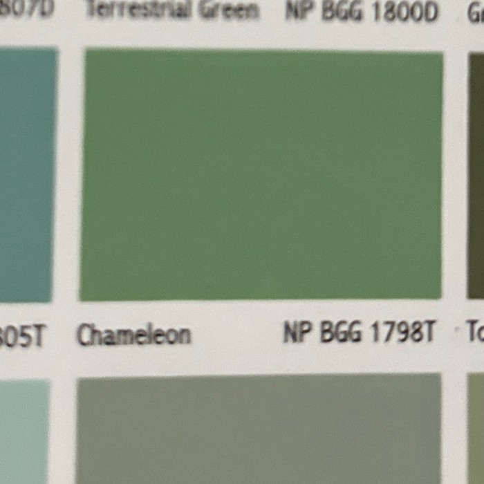 Vinilex super eksterior 5 kg np bgg 1798T chameleon -Megah CT