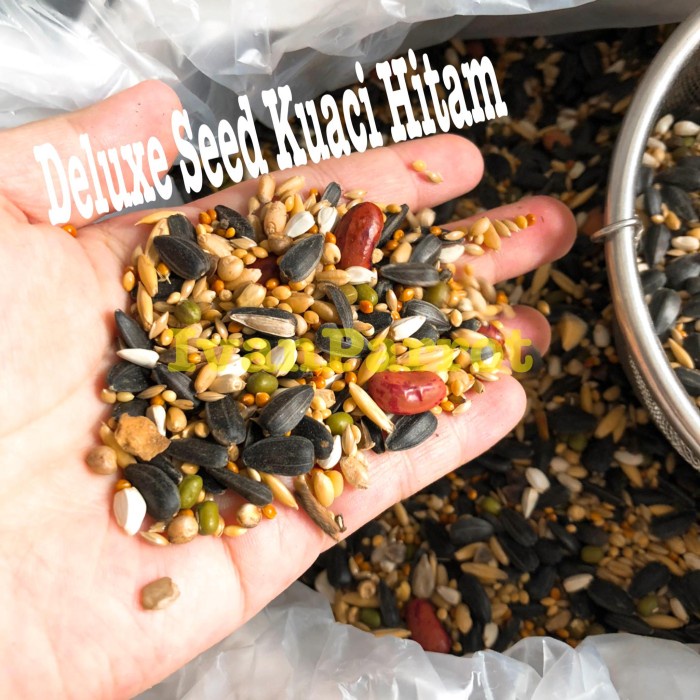 

TERLARIS DELUXE SEED KUACI HITAM KACANG MERAH MEDIUM PARROT 1KG