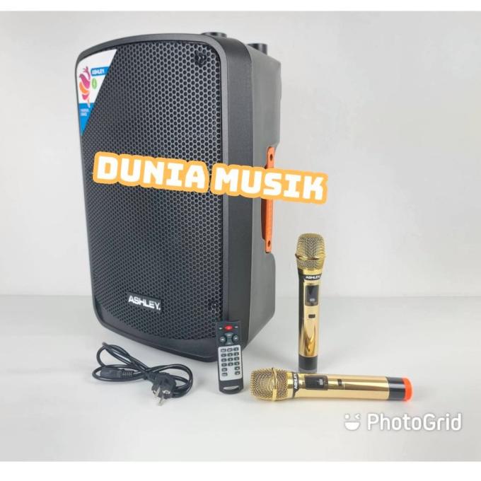 speaker portable ashley ir500 ir 500 / IR500 I R500 ORIGINAL