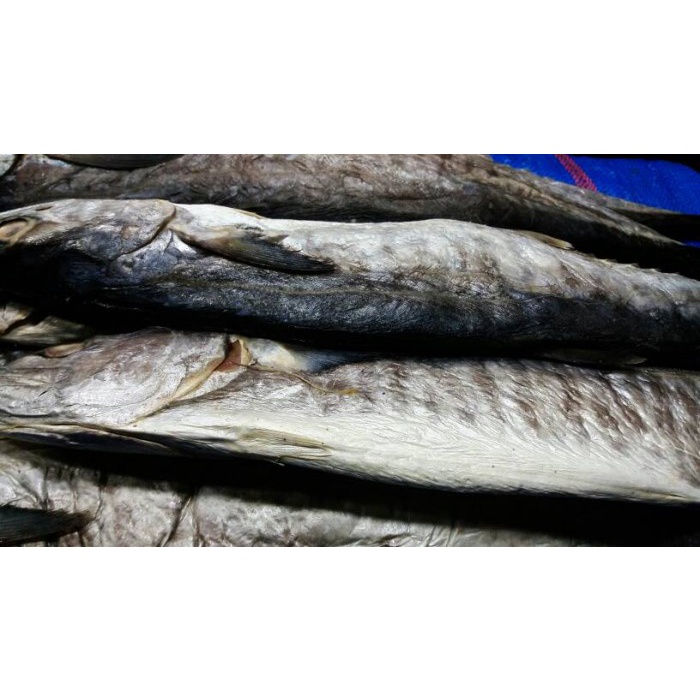 Ikan Asin Tenggiri / Ikan Asin Medan / Oleh Oleh Medan
