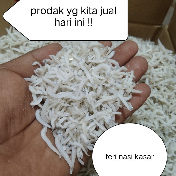 

Promo Teri Medan 1Kg/Ikan Asin Teri Nasi