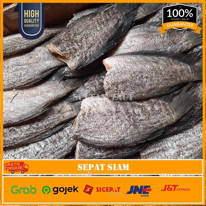 

Ikan Asin Sepat Siam Size Besar 500Gr Premium