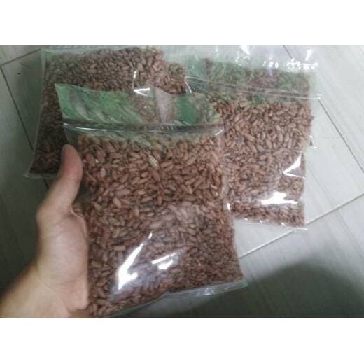 

Termurah!! Baby Cumi Asin 1 Kg, Kualitas Super