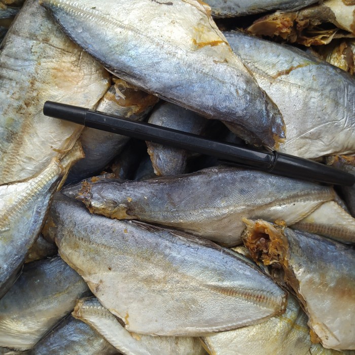 

Ikan Asin Peda Buntung 1Kg Murah Enak Mantabbb