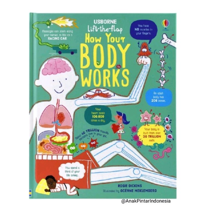 USBORNE LIFT THE FLAP HOW YOUR BODY WORKS ( D2-004 )