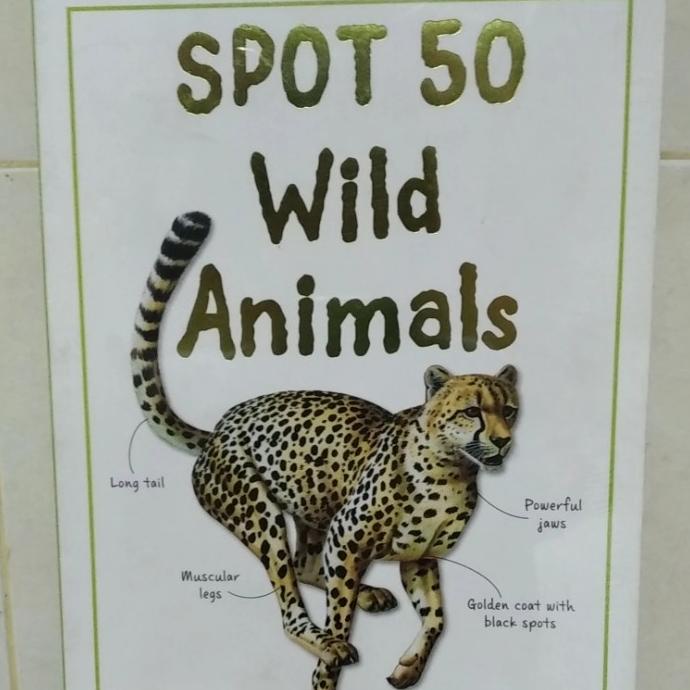 

Diskon !!! Desember Murah Spot 50 Wild Animals - Langsung Kirim