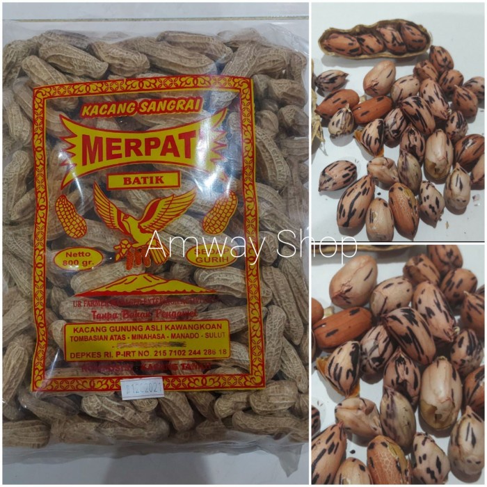 

Kacang - Merpati Kacang Batik Kawangkoan Besar 800Gr Khas Manado