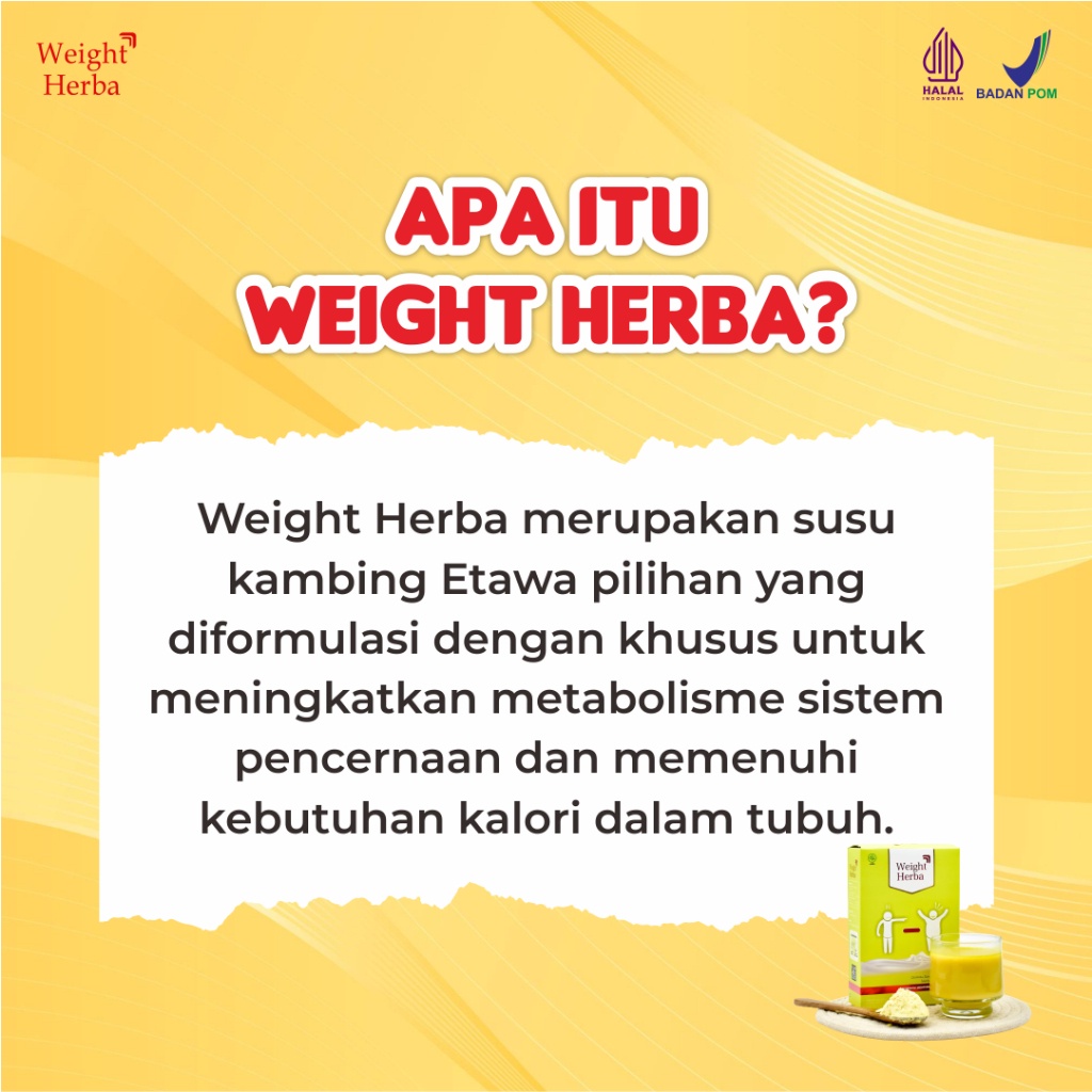 

Weight A - Susu Etawa Ggemuk Badan - Susu Ambah Berat Badan