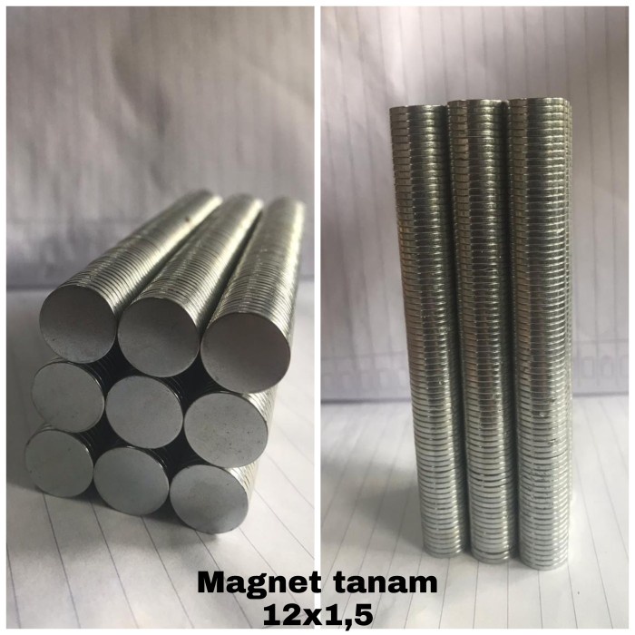

magnet tanam neodymium 12x1,5 nikel