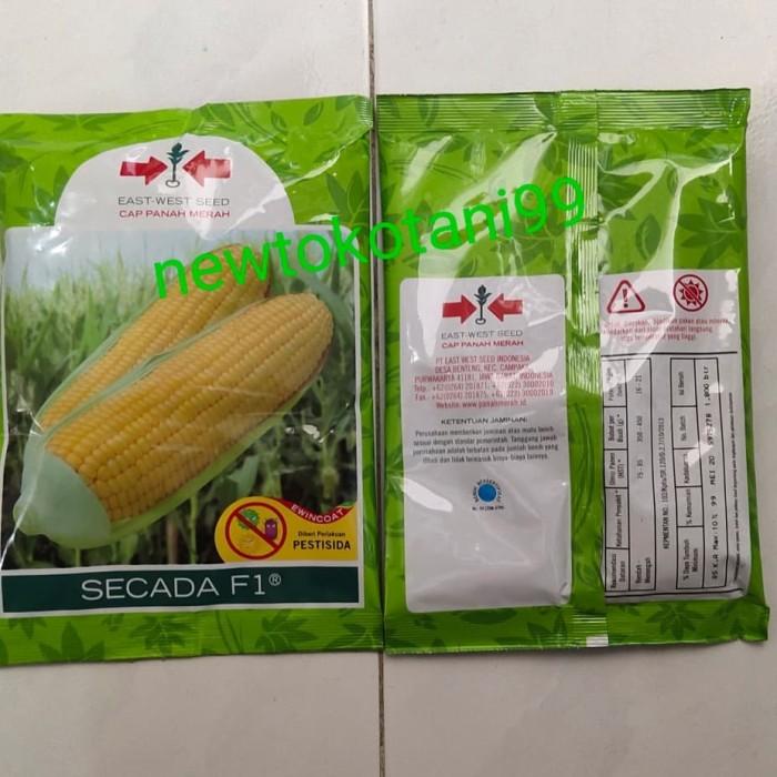 benih jagung manis SECADA F1 1800 butir dari panah merah secada 200 gr Best Seller