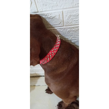 Prodak Baru ~ Kalung Anjing Bahan Kulit Pu El Duri Fashion Dan Bisa Buat Latihan, Bisa Ditarik