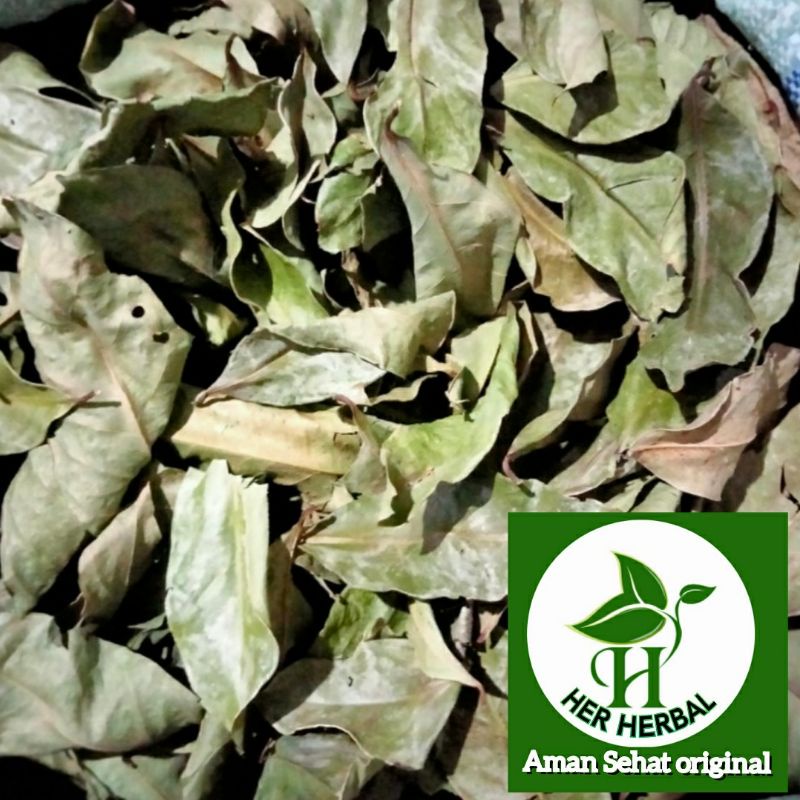 

daun salam kering bukan salam koja herbal