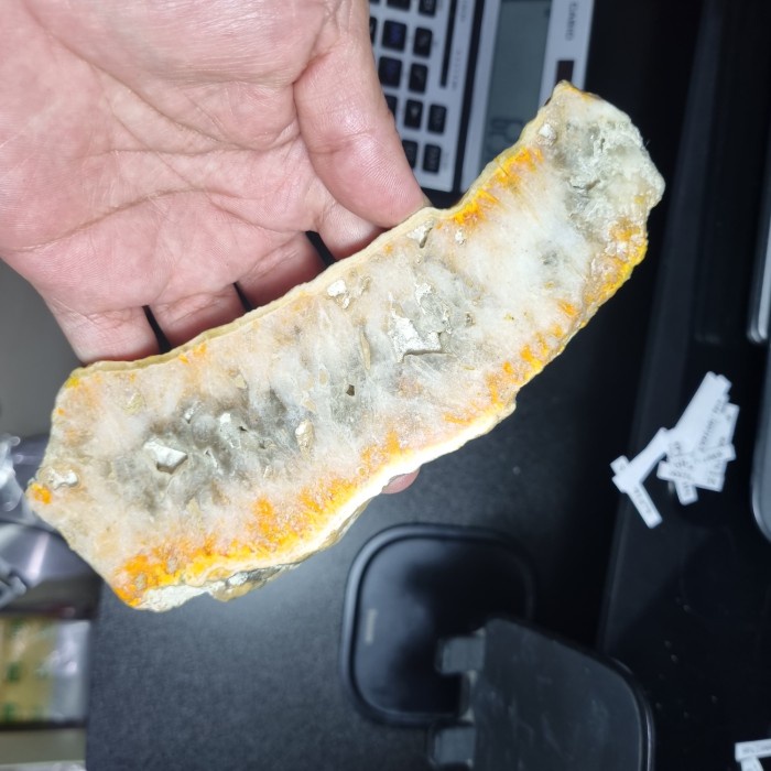 [Baru] Bumblebee Jasper Slice Polished Special Aaa Bb01 Limited