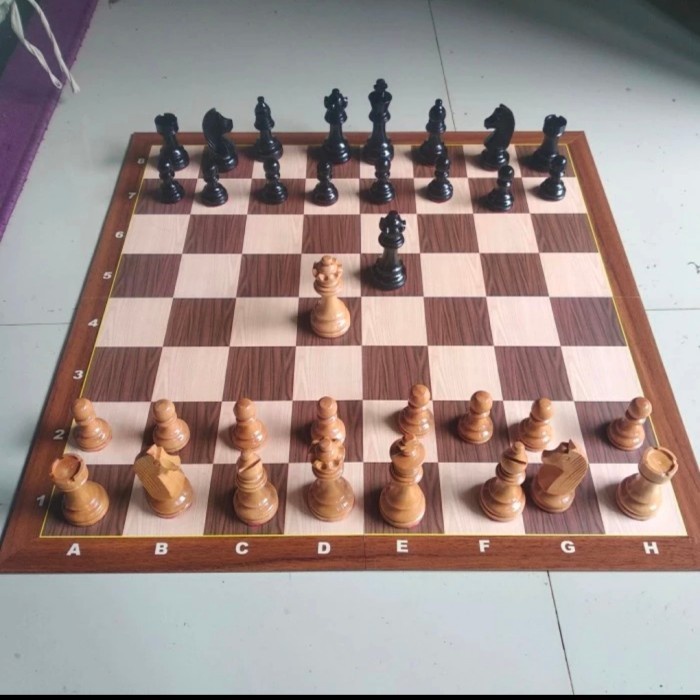 ✅COD Papan Catur Lipat 4 Internasional Lengkap Dengan Buah Dan Tas Catur Terbaru