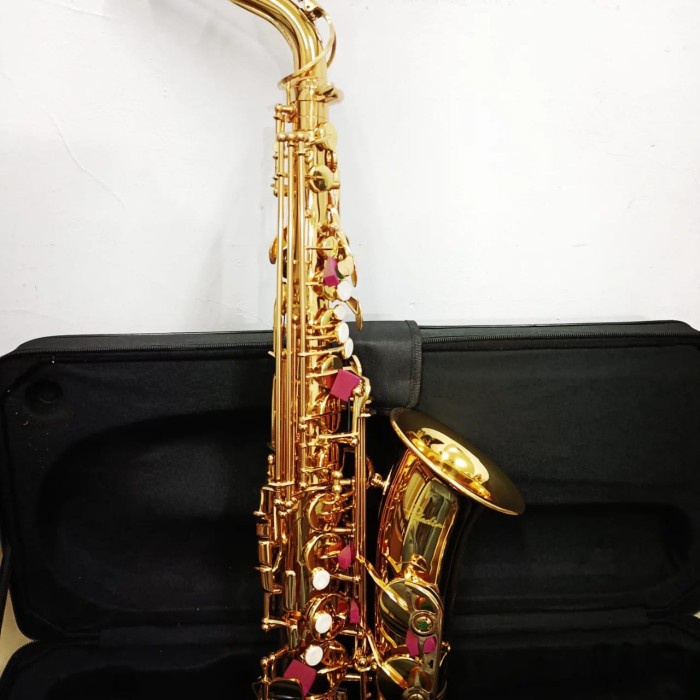 

✨Sale Saxophone Alto Paladin Jas-900 Gold / Jas 900 Gold / Jas900 Gold Berkualitas