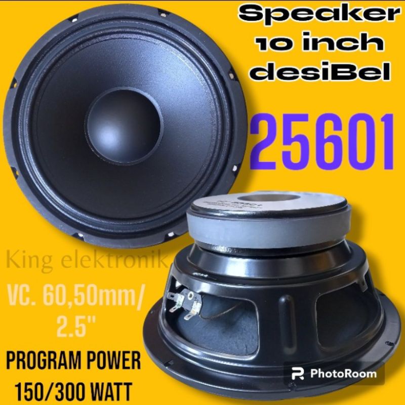 SPEAKER 10INCH DESIBEL 25601