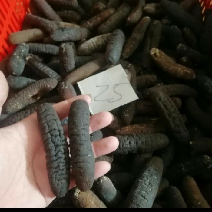 

haisom Belitung packingan 500gram/isi 12-14