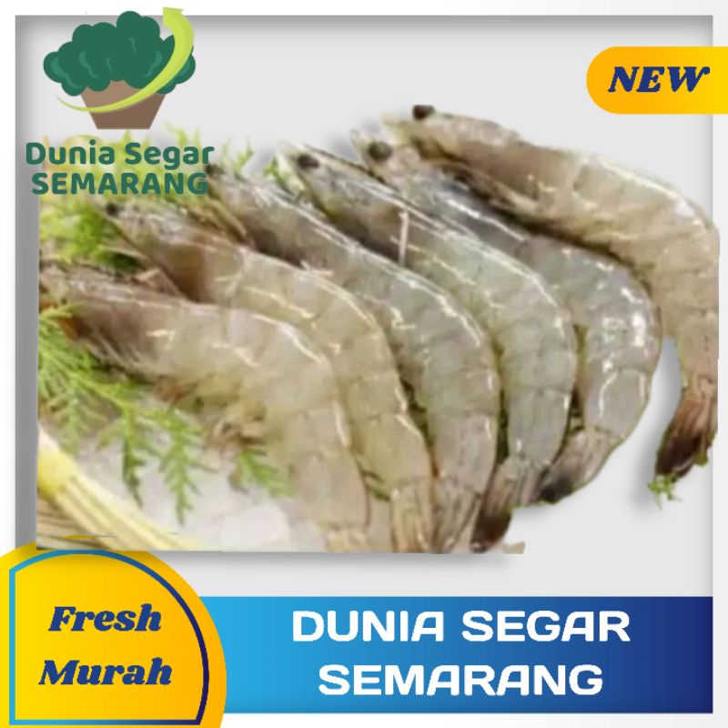 

Udang Segar 250gr