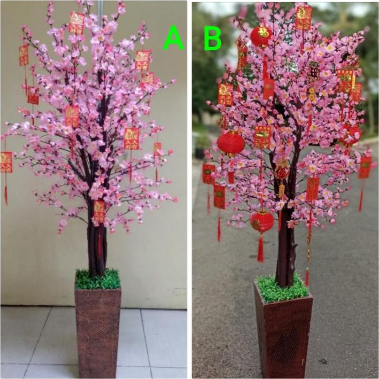 [PH] Pohon bunga Imlek meihua angpao 175cm 2 meter an 2 m sincia sakura tinggi besar