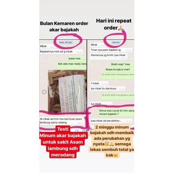 

Model baru - AKAR BAJAKAH TAMPALA OBAT AMPUH KANKER TUMOR BENJOLAN /BAJAKAH KUALITAS SUPER !