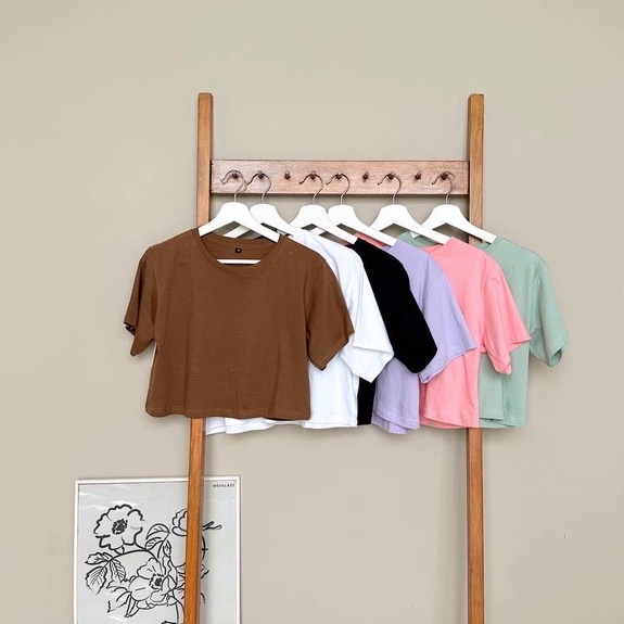 Basic crop top / basic crop tshirt / basic crop tee
