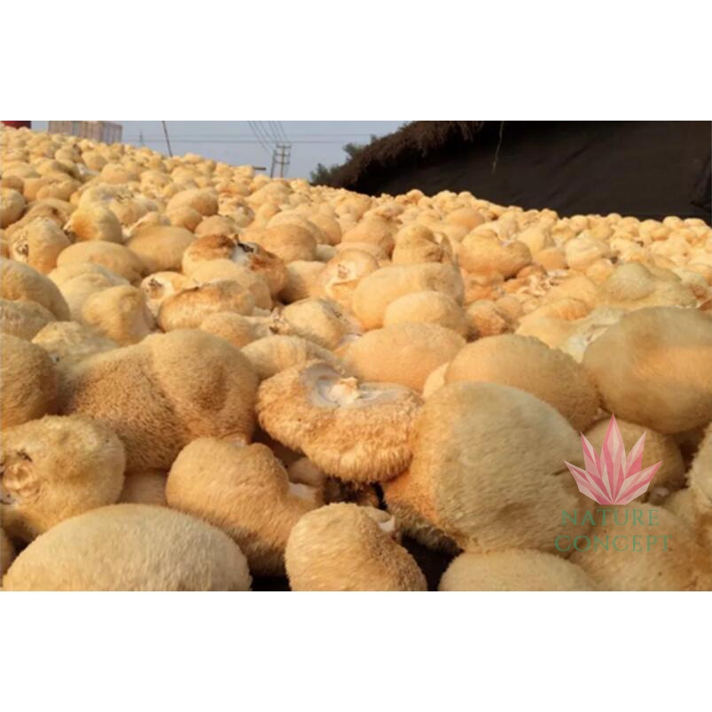Jamur Monyet Hou Tou Gu Monkey Head Mushroom / Lion'S Mane Mushroom Paing
