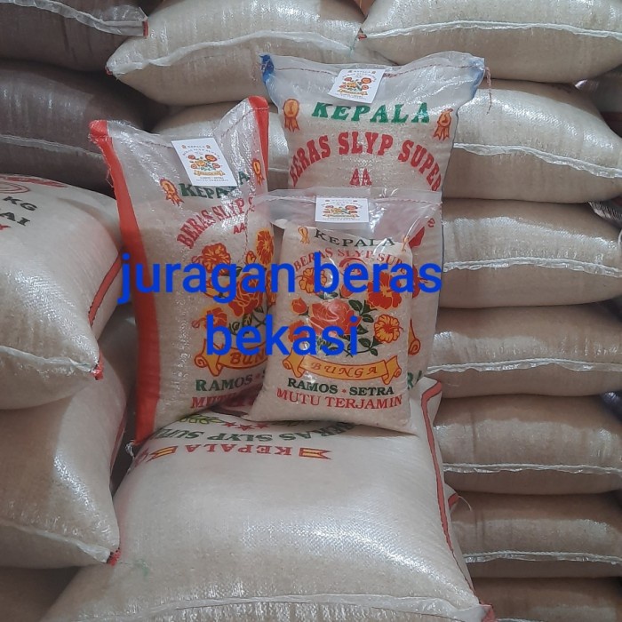 

Medium Setra Ramos 5Kg