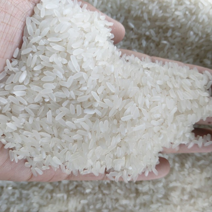 

Pera Padang Jenis Ir42 11.000/ Liter