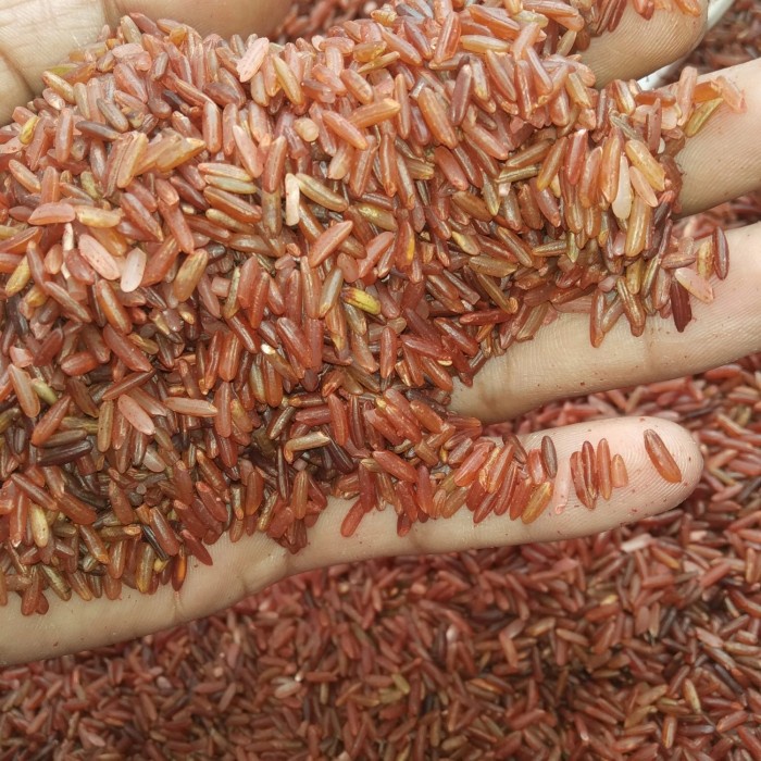 

Merah Sosoh Super 1Kg