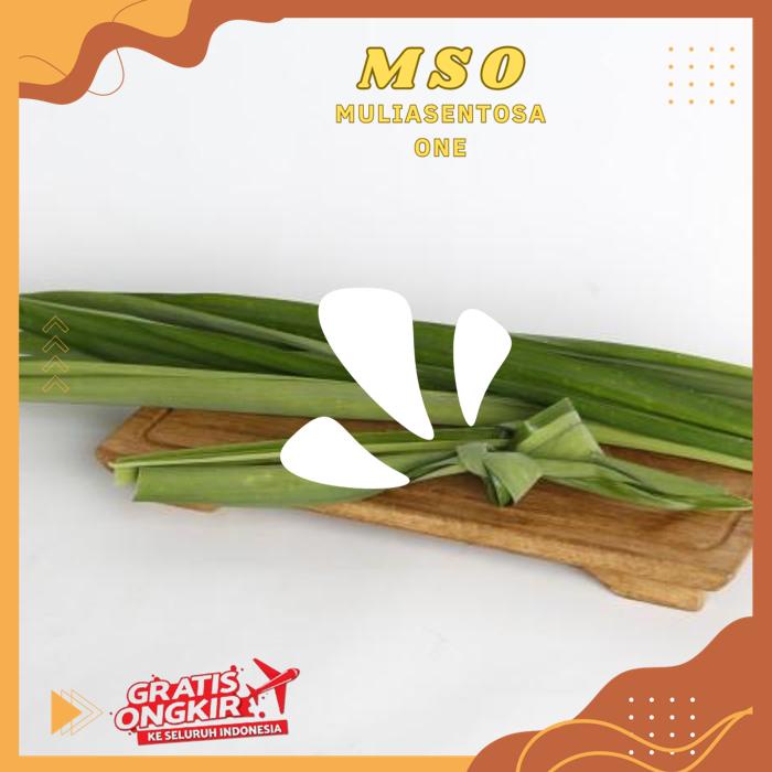 

DAUN PANDAN 50 GR PRODUK BAHAN BERKUALITAS TINGGI !!