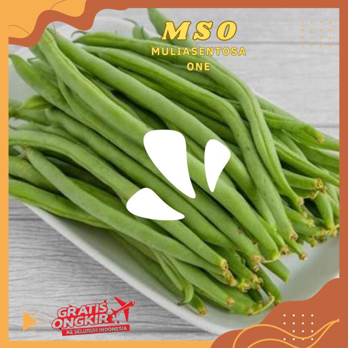 

BUNCIS 240 - 250 GR PRODUK BAHAN BERKUALITAS TINGGI !!