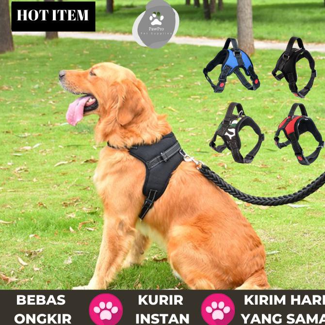 Harness Anjing|Dog Harness|Harness Anjing Besar|Harness Anjing Medium