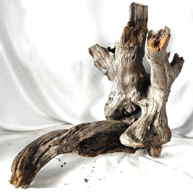 KAYU AQUASCAPE / KAYU SANTIGI SIZE S / AKAR SANTIGI / SANTIGI WOOD