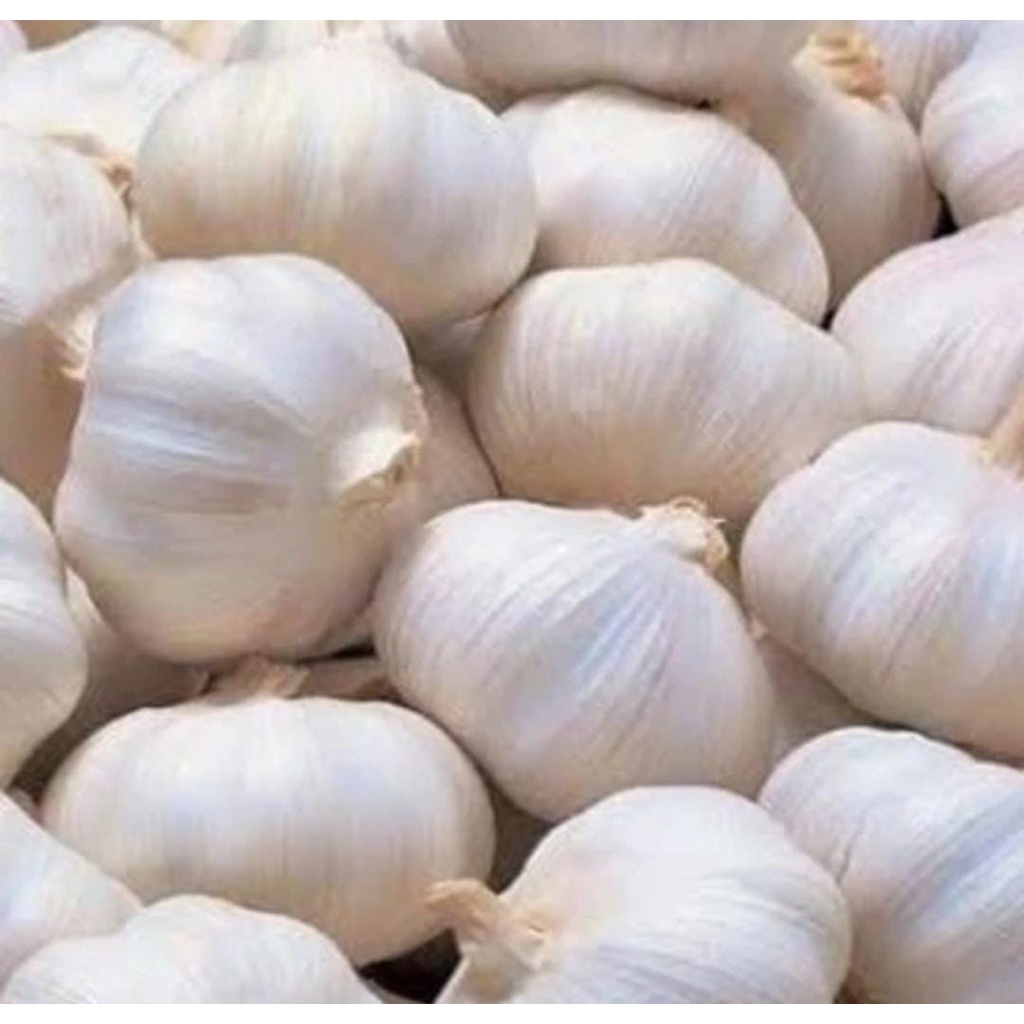 

BAWANG PUTIH HONAN IMPORT 250 GRAM