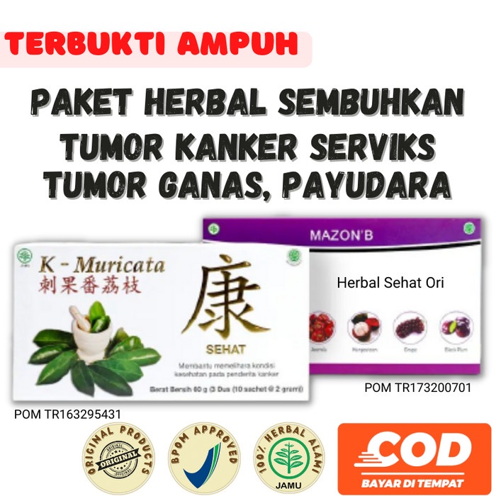 

Obat Herbal Tumor Kanker Serviks Tumor Ganas Mazon B dan K Muricata
