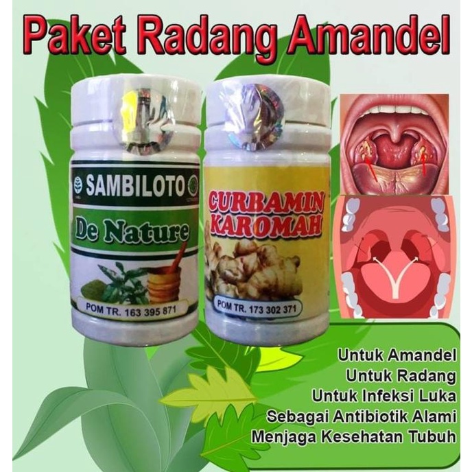 

Obat Herbal Sakit Amandel sulit menelan pembengkakan rongga mulut