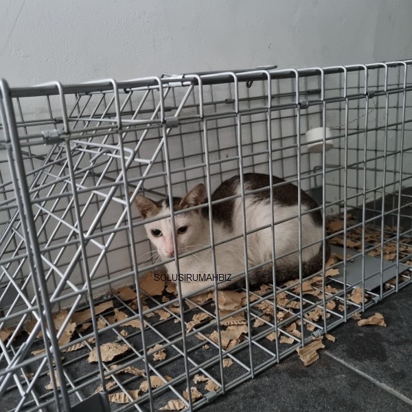 ~@~@~@~@] kurungan besar lipat jebakan Kucing luwak Musang 76x28x30cm hewan