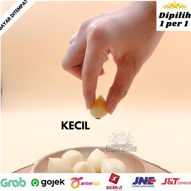 

Bawang Putih Tunggal / Bawang Lanang Super Ukuran Besar Jumbo 1kg