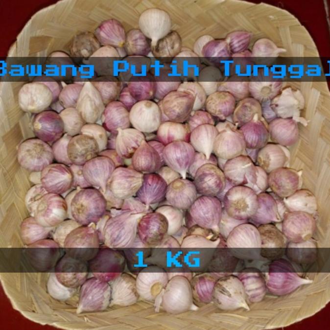 

Bawang Putih Tunggal/Bawang Lanang Kualitas super 1 kg