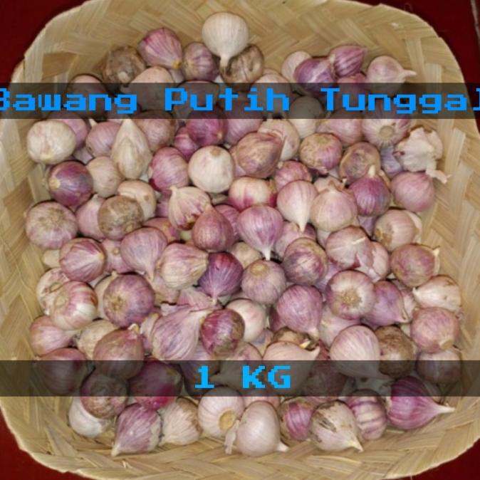 Bawang Putih Tunggal/Bawang Lanang Kualitas super 1 kg