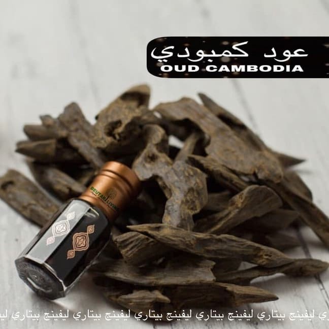 ✅New Ori 12Ml Oud Cambodia Agarwood Parfum OilMinyak Wangi Gaharu Kamboja Limited