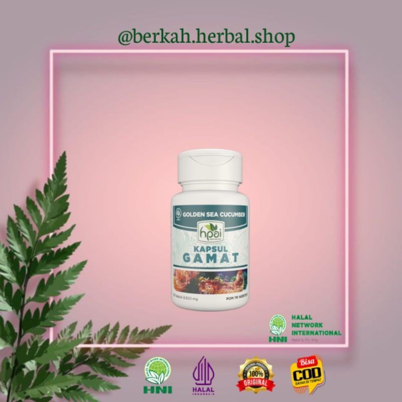 Gamat HNI HPAI / Membantu Meredakan Nyeri Sendi