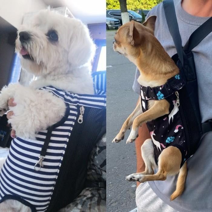 TAS GENDONGAN HEWAN PELIHARAAN UKURAN KECIL, AKSESORI ANJING TAS