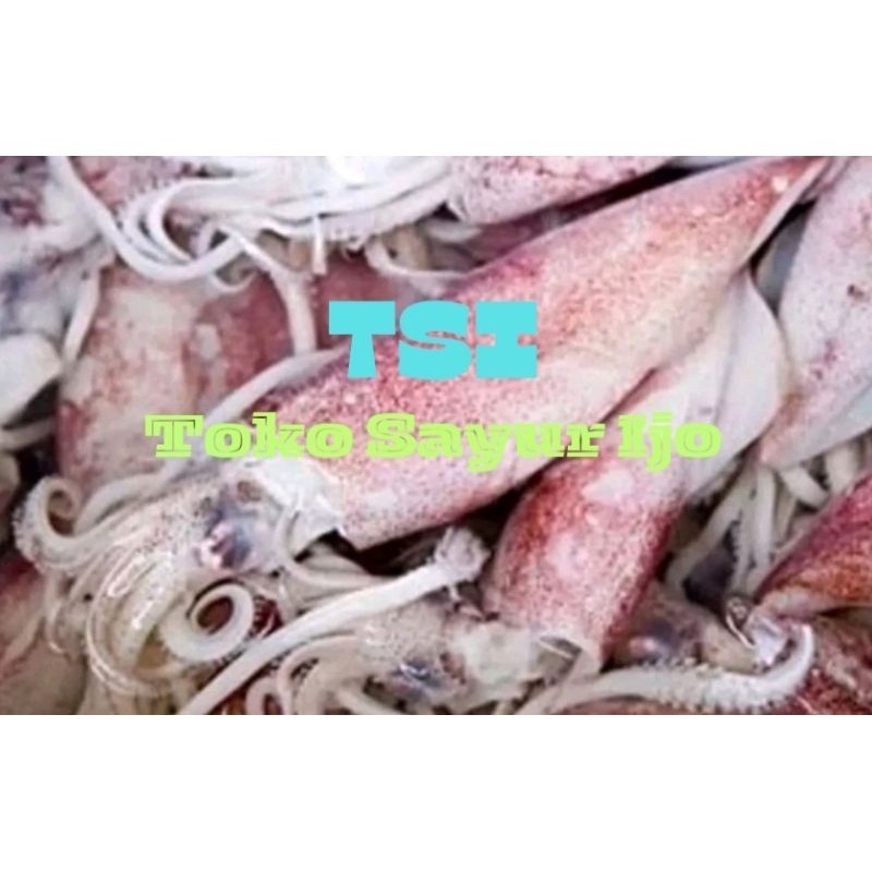 

Cumi-cumi - Kirim Instan