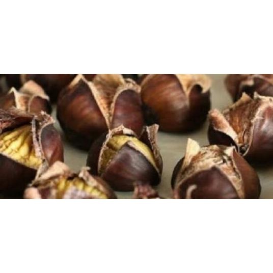 

Chestnut (Kacang Kastanye)